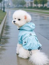 Load image into Gallery viewer, 5238230a06d641c58463e0ead53b384c-Max