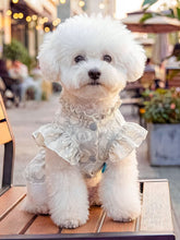 Load image into Gallery viewer, 916569fb047348cf87e7f18cdc5e9e03-Max