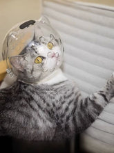 Load image into Gallery viewer, 06e3a5e85704415a9f68ab1cc4aa2527-Max
