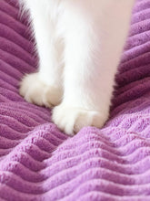 Load image into Gallery viewer, 2fa7b5ec-2e3e-4f38-b561-063443391164-Max-Origin
