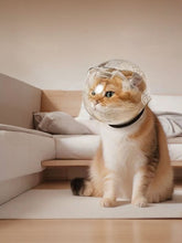 Load image into Gallery viewer, 2ff29c0d-37b2-4888-95c7-647782bd6b2f-Max

