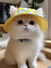 Load image into Gallery viewer, 31fe0deaeba6407493b9ceedd7122033-Max-Origin
