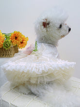 Load image into Gallery viewer, 3d4993c7-42bf-47b4-af6e-888ff655a01b-Max
