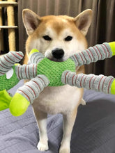Load image into Gallery viewer, 40d1af72f2324306a428f66c0e7be1c9-Max
