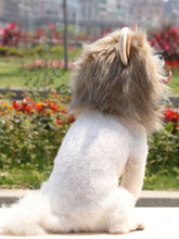 Load image into Gallery viewer, 51db3f95504b463fb341b50e12439528-Max
