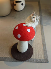 Load image into Gallery viewer, 671712f5-8df0-440c-a3b9-40ea628f22cc-Max
