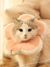 Load image into Gallery viewer, 6d2c29f2033346249a642b265dfdbfda-Max-Origin
