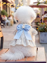 Load image into Gallery viewer, 71dca0690b8c49229f638399ae1e24ab-Max
