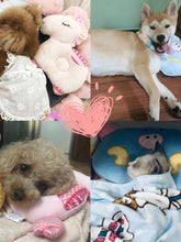 Load image into Gallery viewer, 88cac666def7437db844202063a2f3d9-Max
