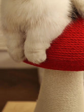 Load image into Gallery viewer, 9292548e-501b-41bb-9b57-970b05d39eb0-Max
