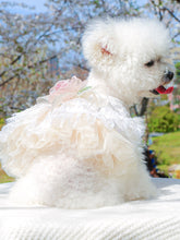 Load image into Gallery viewer, 94de4a25-78f2-41d2-8e0d-5843588156dd-Max
