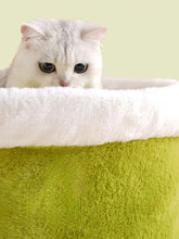 Load image into Gallery viewer, 9890d9a2-d0b3-4a7b-bc4f-b4f158e47a12-Max-Origin
