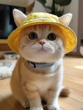Load image into Gallery viewer, a05c82a2bc734b89a25b41af6d87b41e-Max-Origin
