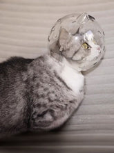 Load image into Gallery viewer, ab10876a-df75-4d30-80eb-f1aa9c585077-Max
