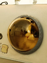 Load image into Gallery viewer, b2e53bdf4539471cb46b9f8d9b9de8cd-Max-Origin
