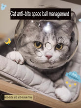Load image into Gallery viewer, bb020b3674cc48e2a7ab949d26d60687-Max
