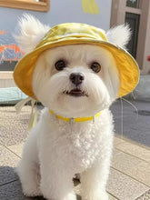 Load image into Gallery viewer, ff581e374ebb48e3ade68f68b7a664c7-Max-Origin
